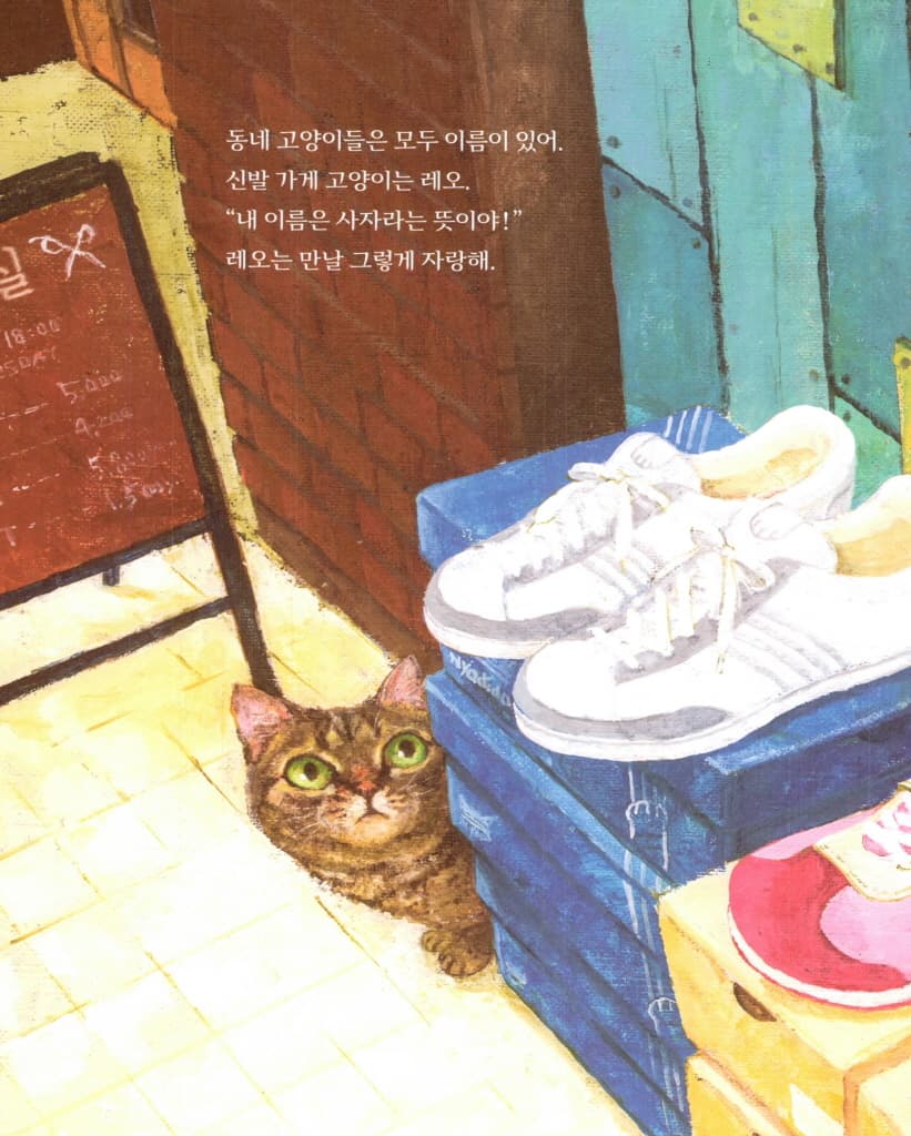 이름 없는 고양이