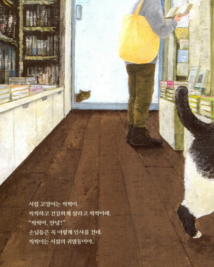 이름 없는 고양이