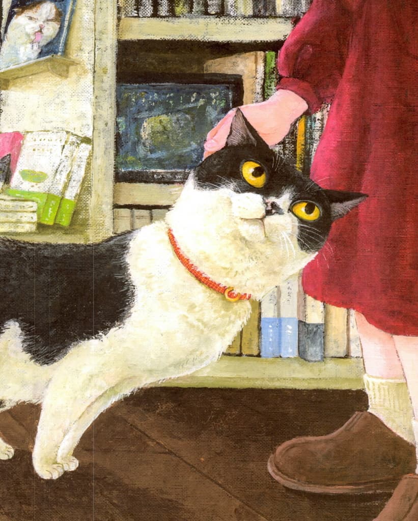 이름 없는 고양이