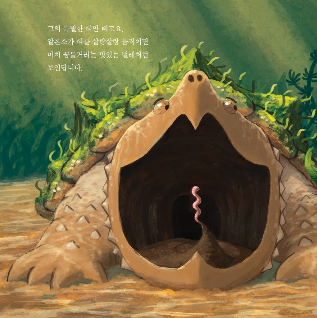 입을 크게 벌리고 기다리면