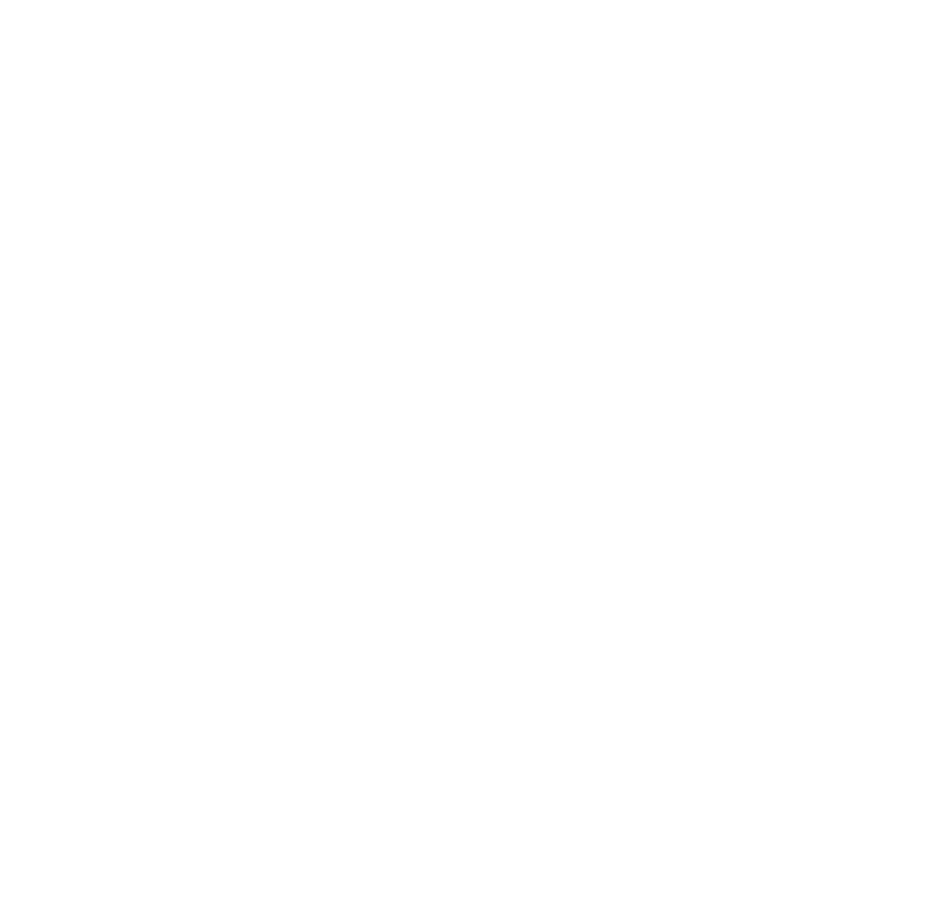 자동차 타는 여우