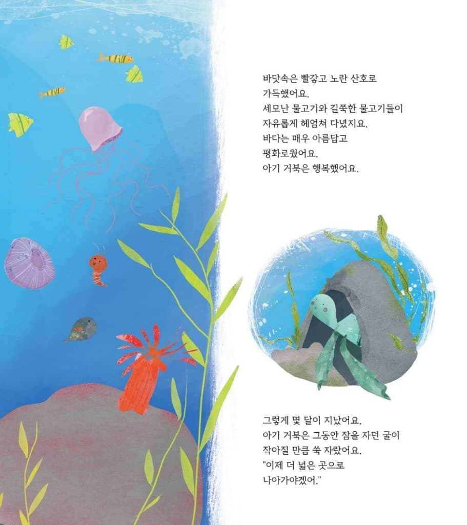 작은 거북이와 바다
