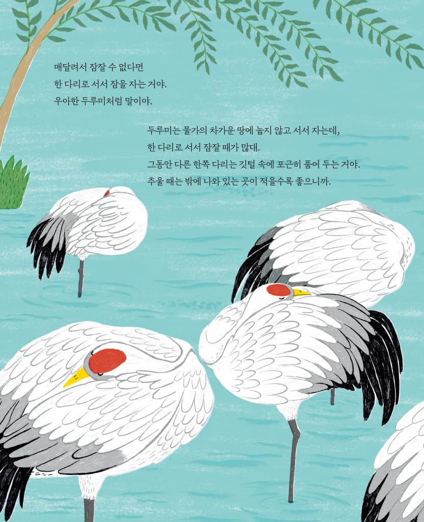 잠이 안 오니?