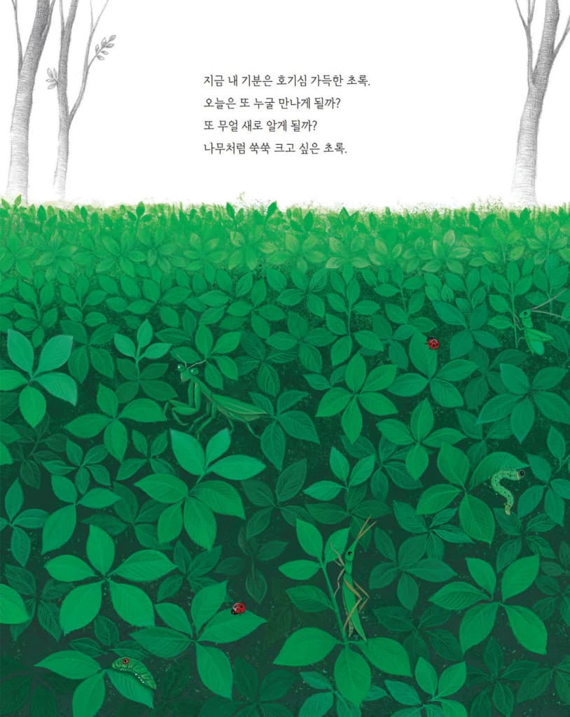 네 기분은 어떤 색깔이니?
