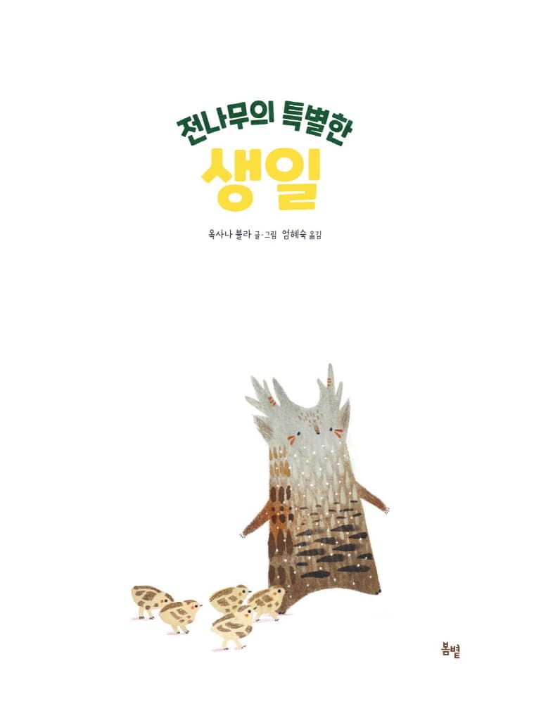 전나무의 특별한 생일