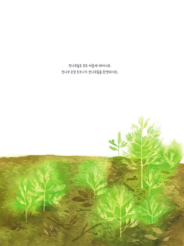 전나무의 특별한 생일