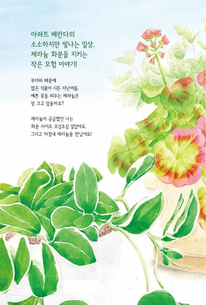 제라늄과 오후의 꽃잠