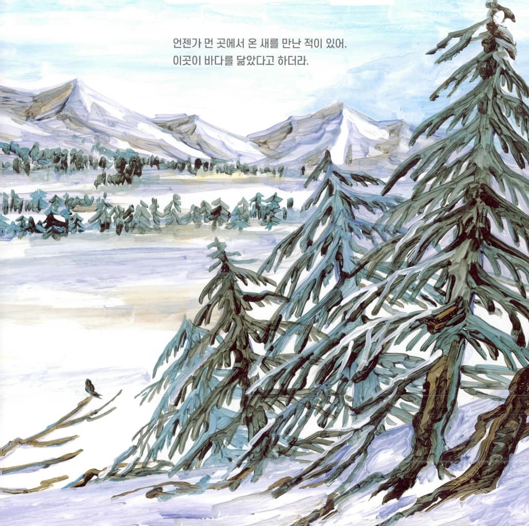 조용한 세계