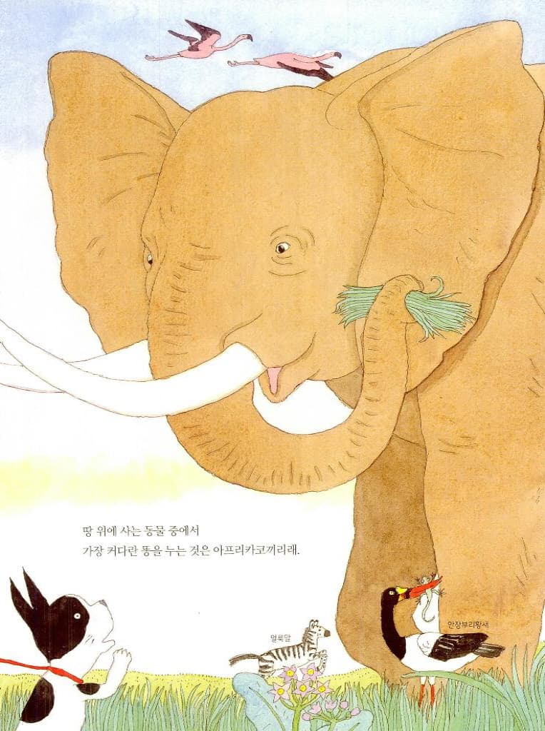 지구는 왜 똥으로 가득 차지 않을까?