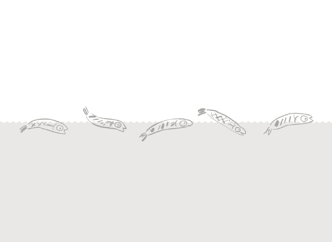 멸치 다듬기