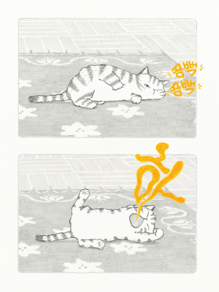 홀짝홀짝 호로록