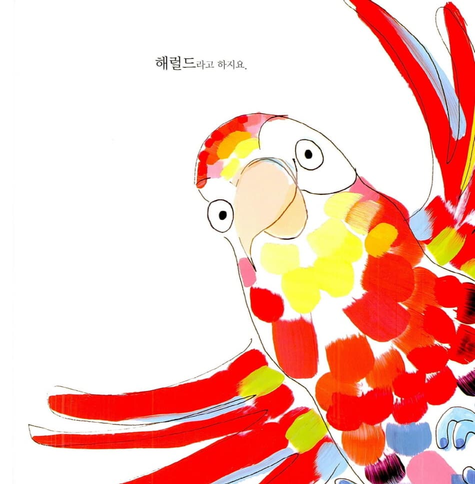 앵무새 해럴드