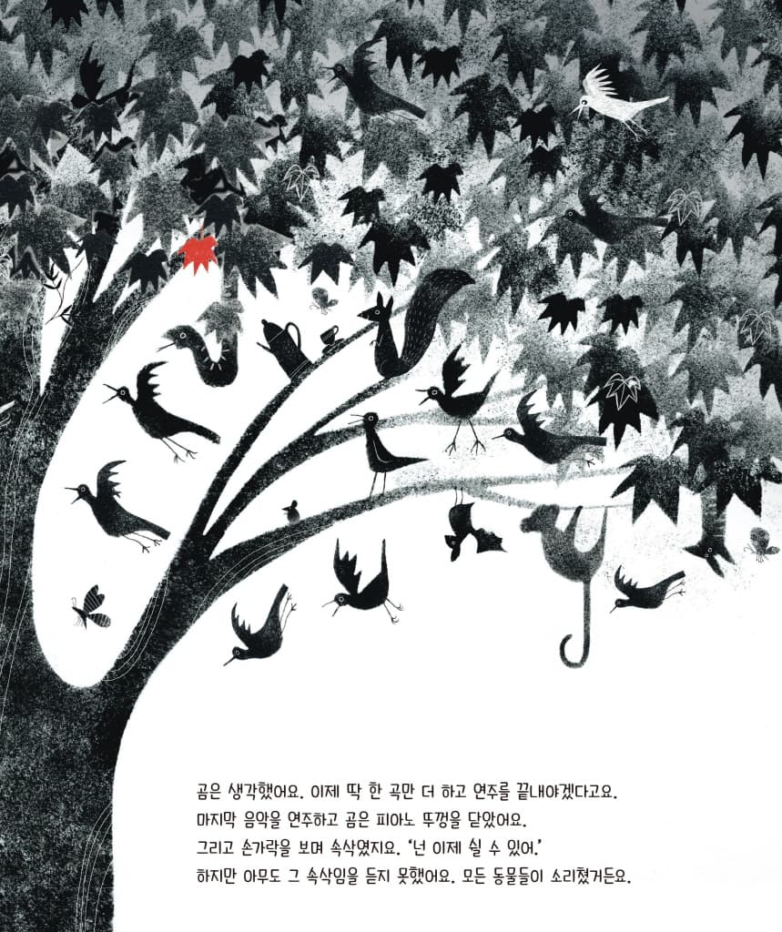 피아노 치는 곰