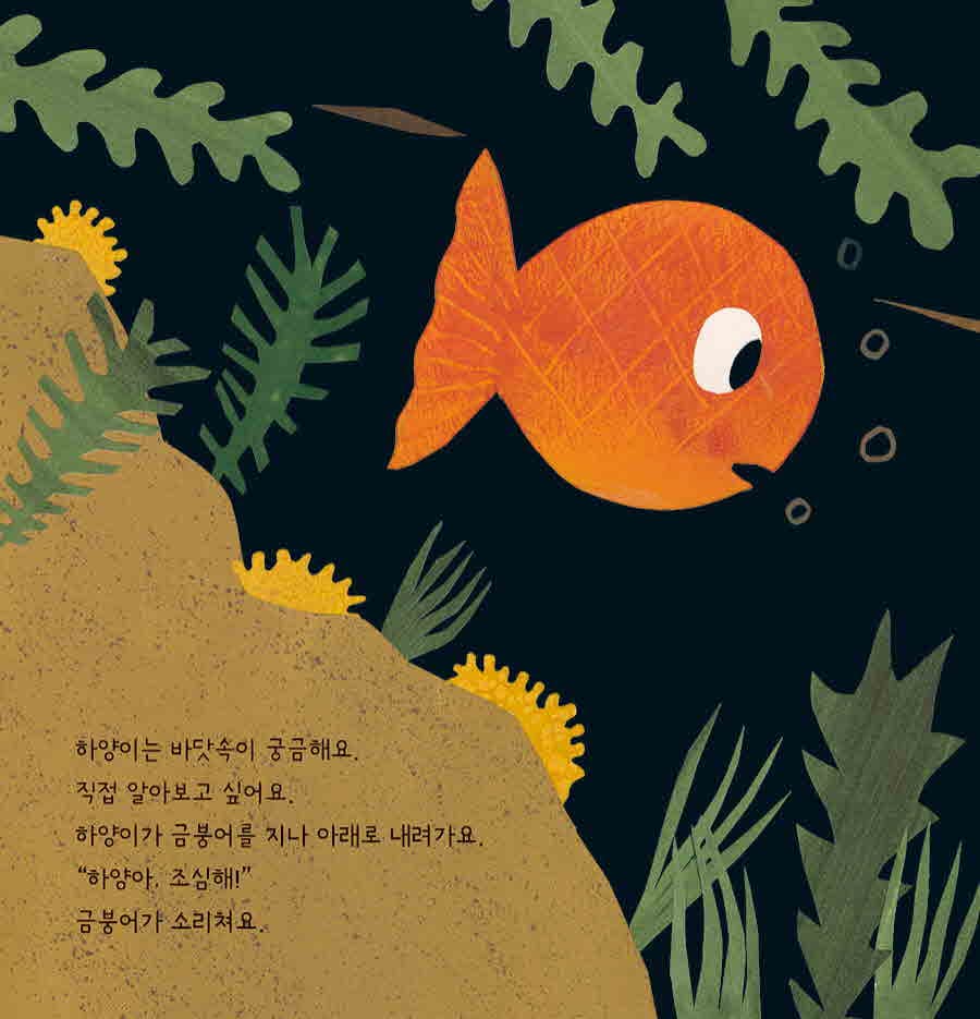 하양이는 바닷속이 궁금해요