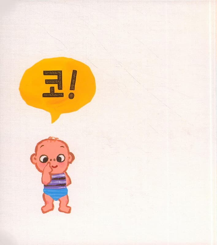 눈코입