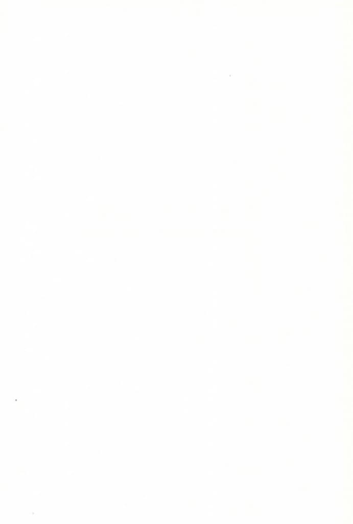행성P