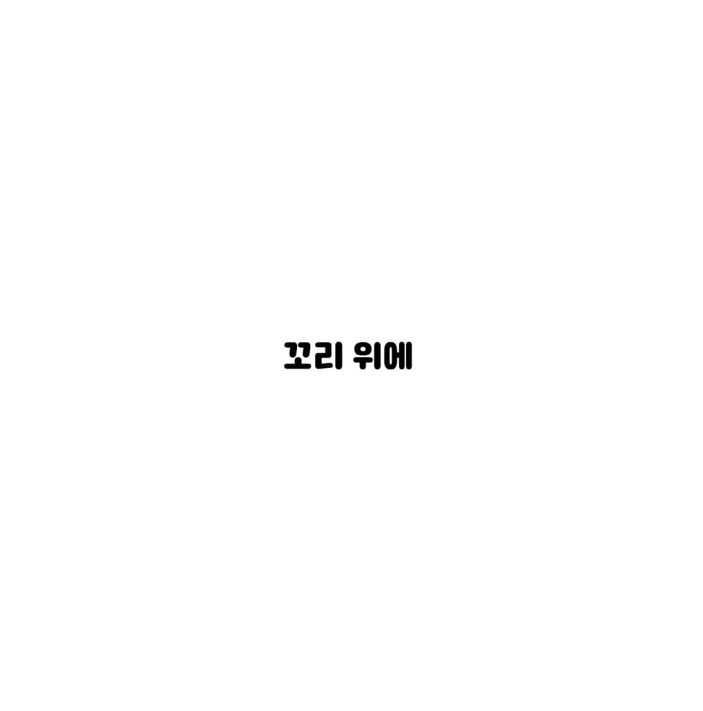 호라이