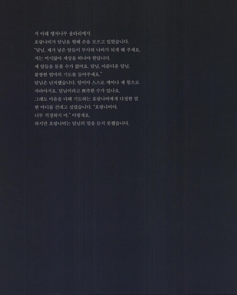 호랑나비와 달님