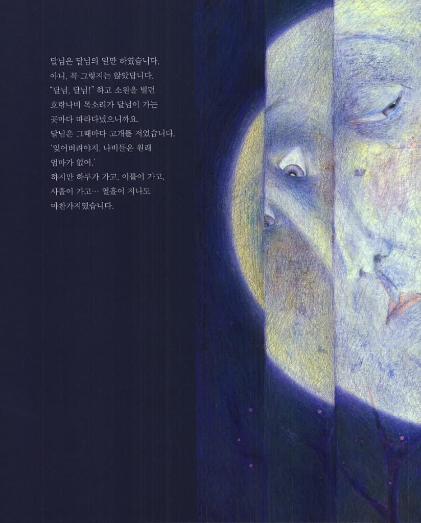 호랑나비와 달님