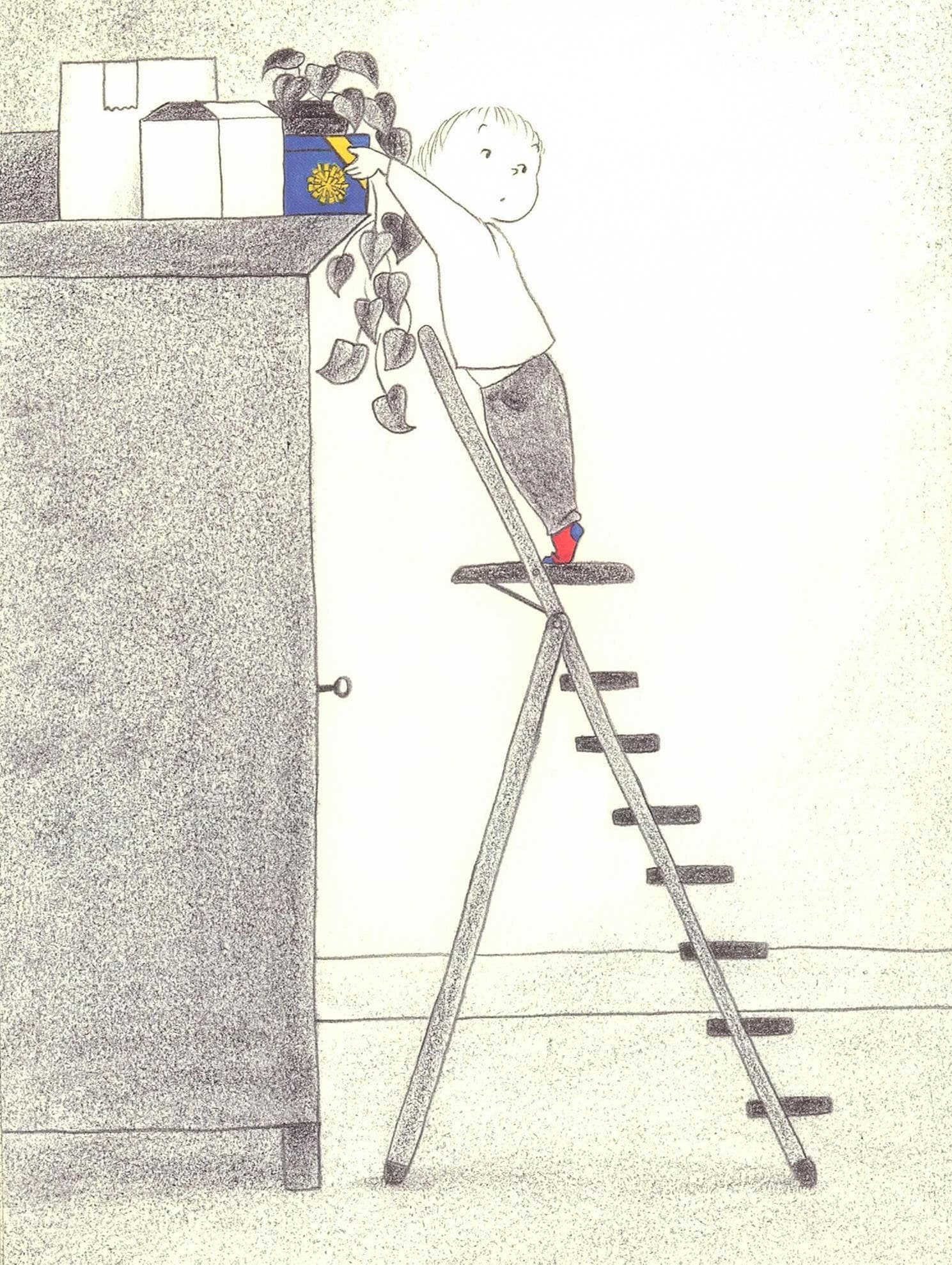 니코의 선물