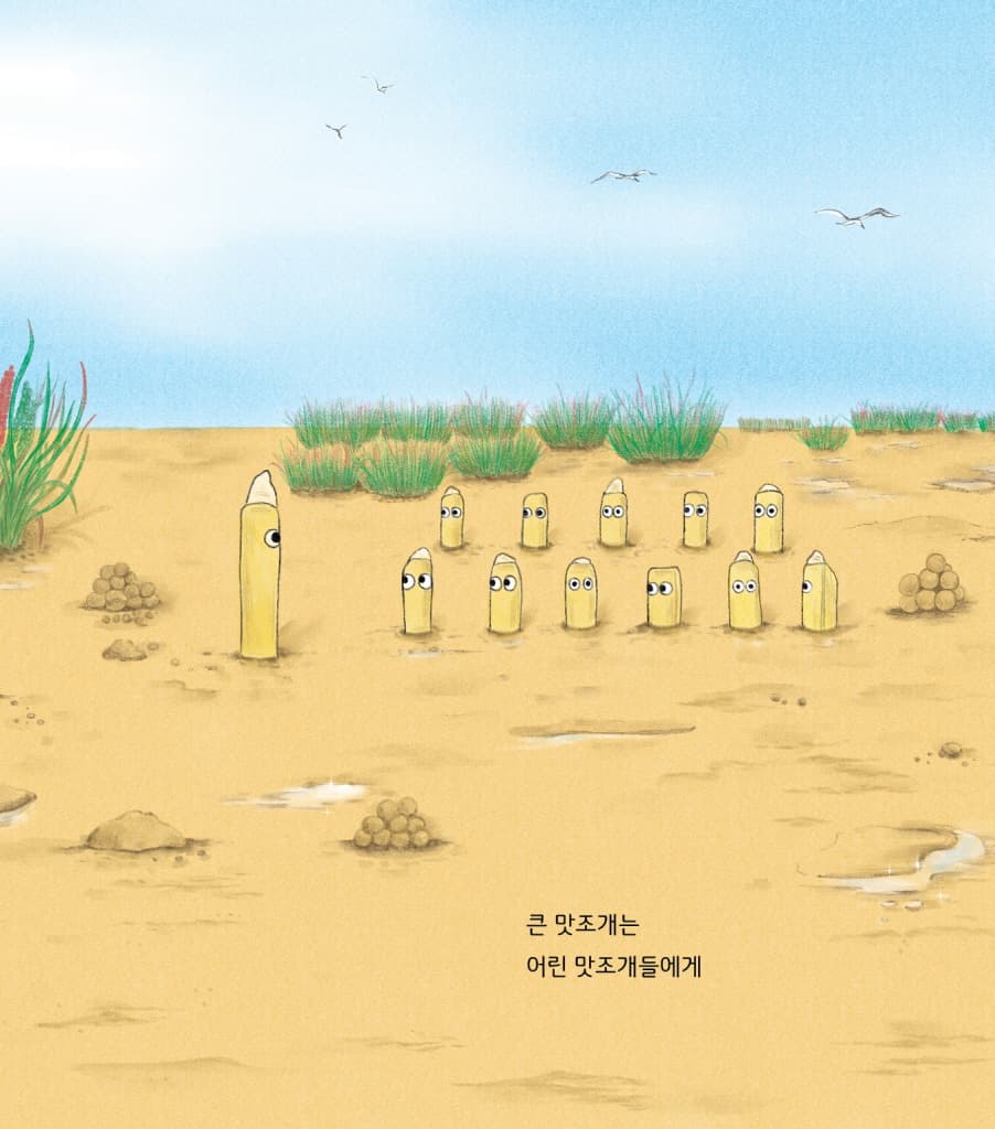 갯벌 학교