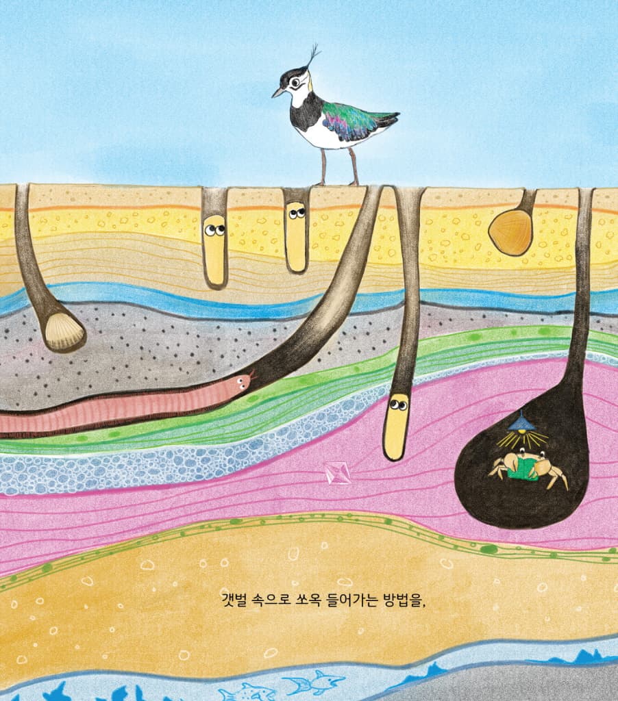 갯벌 학교
