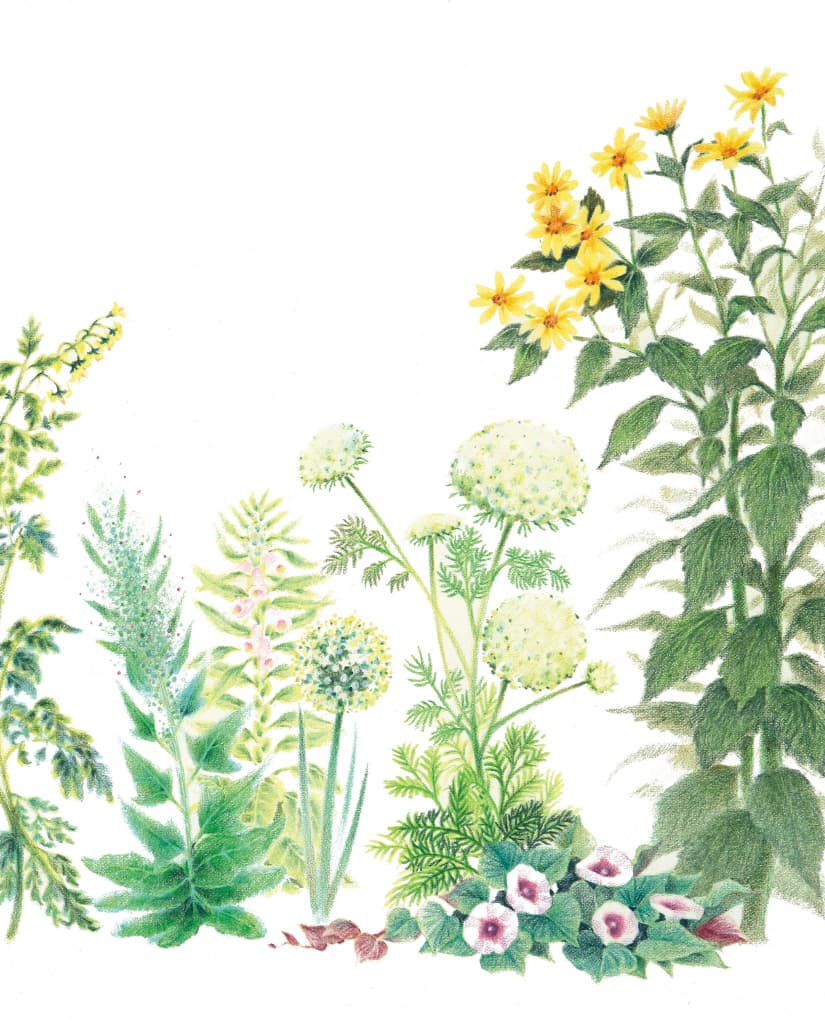 꽃이 필 거야