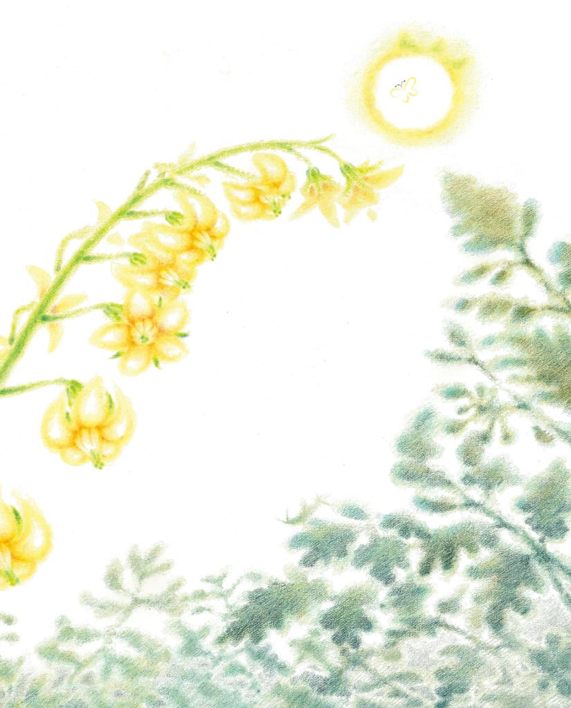 꽃이 필 거야