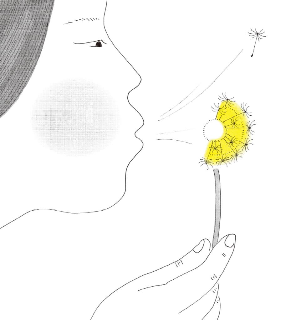 봄은 고양이