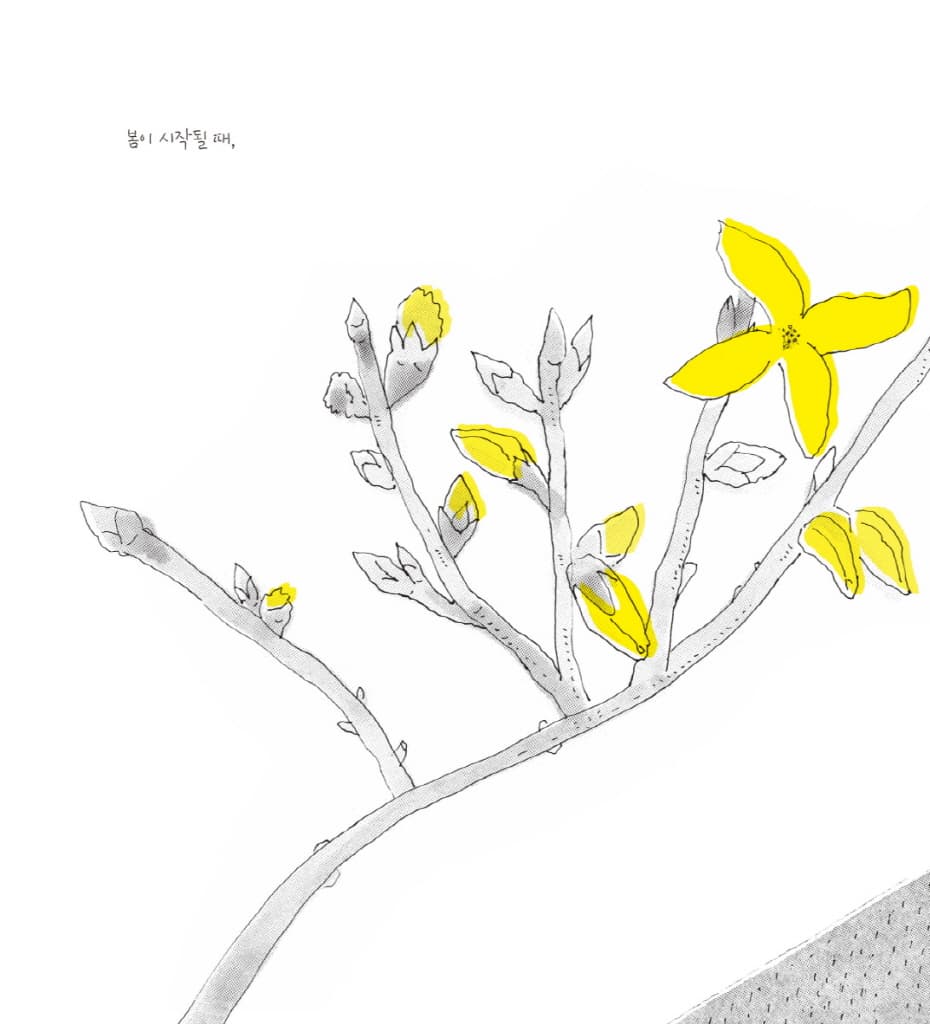 봄은 고양이