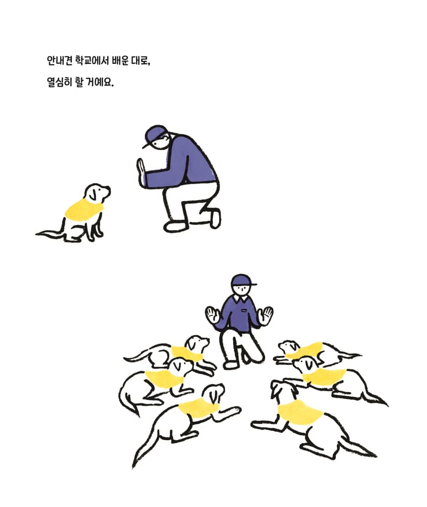 나는 안내견이야