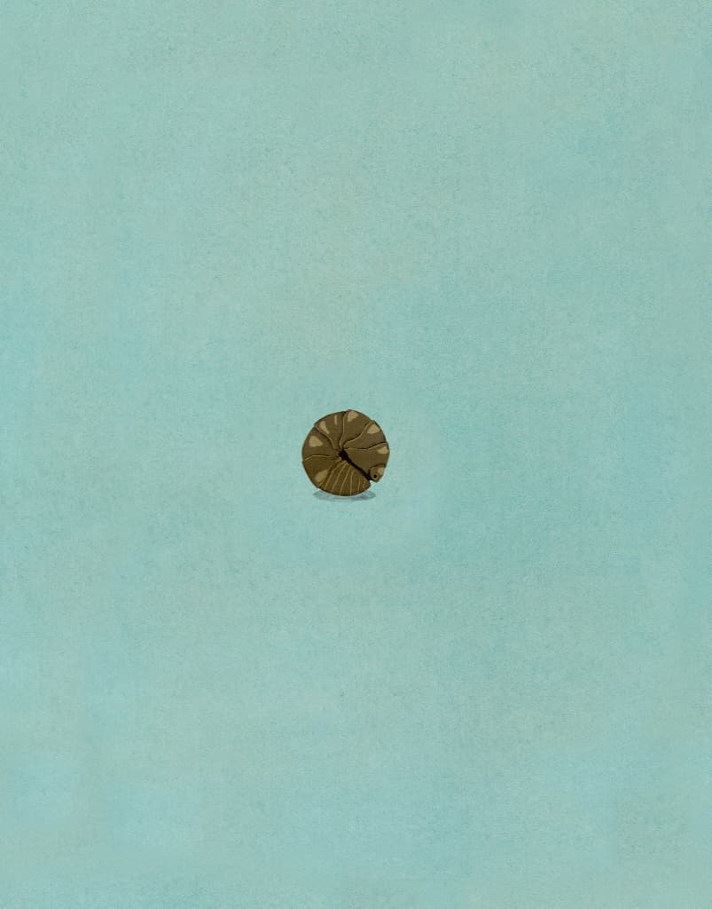 바다까지, 다섯 블록