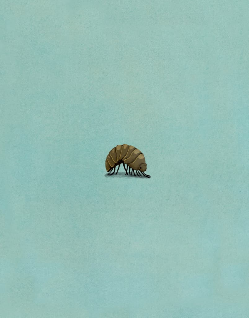 바다까지, 다섯 블록