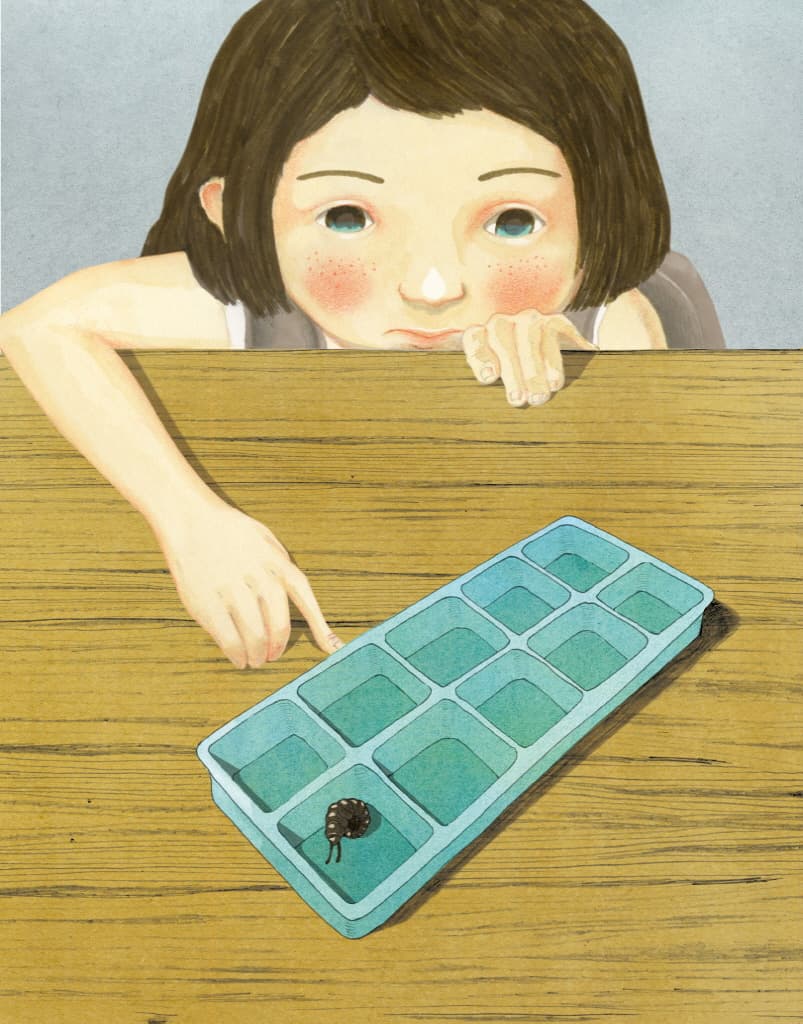 바다까지, 다섯 블록