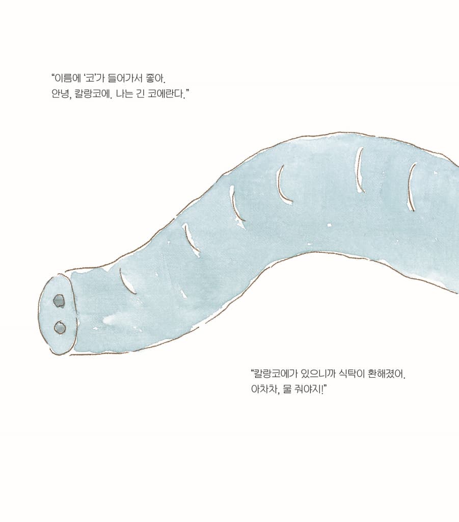 코코 씨의 식물 사귀기