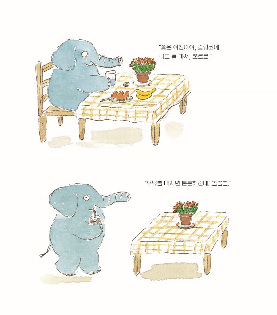 코코 씨의 식물 사귀기