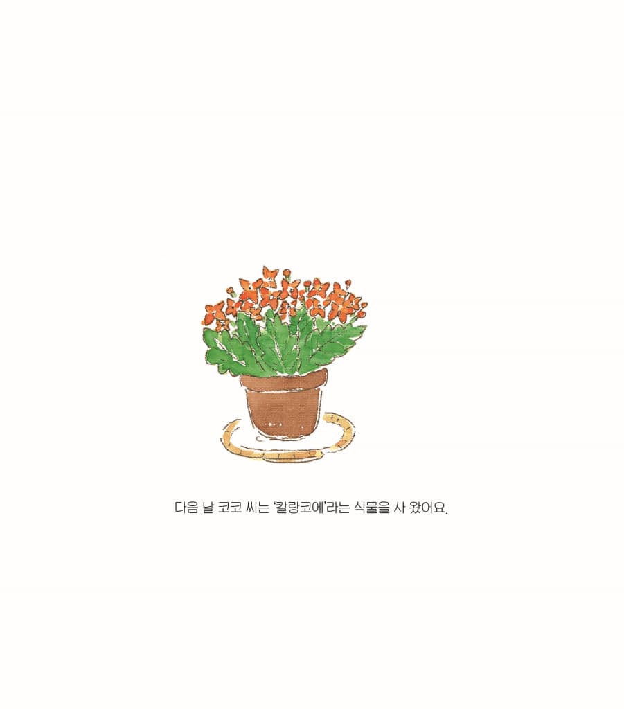 코코 씨의 식물 사귀기