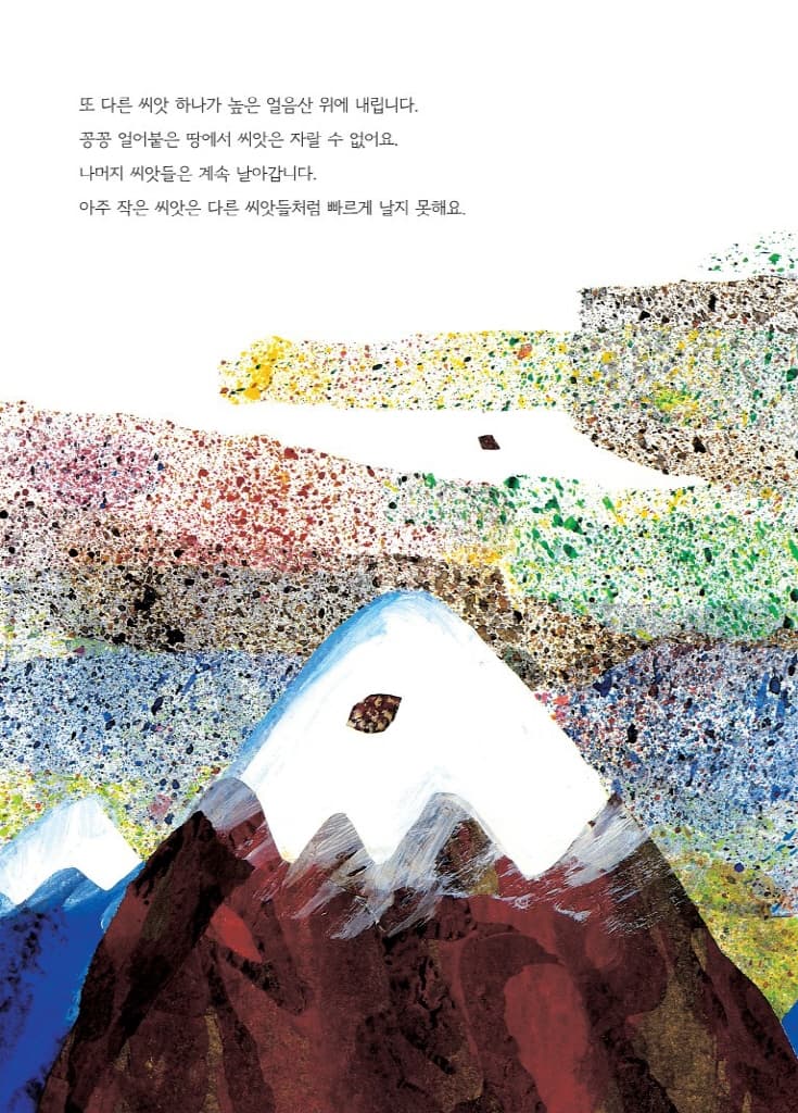 아주 작은 씨앗