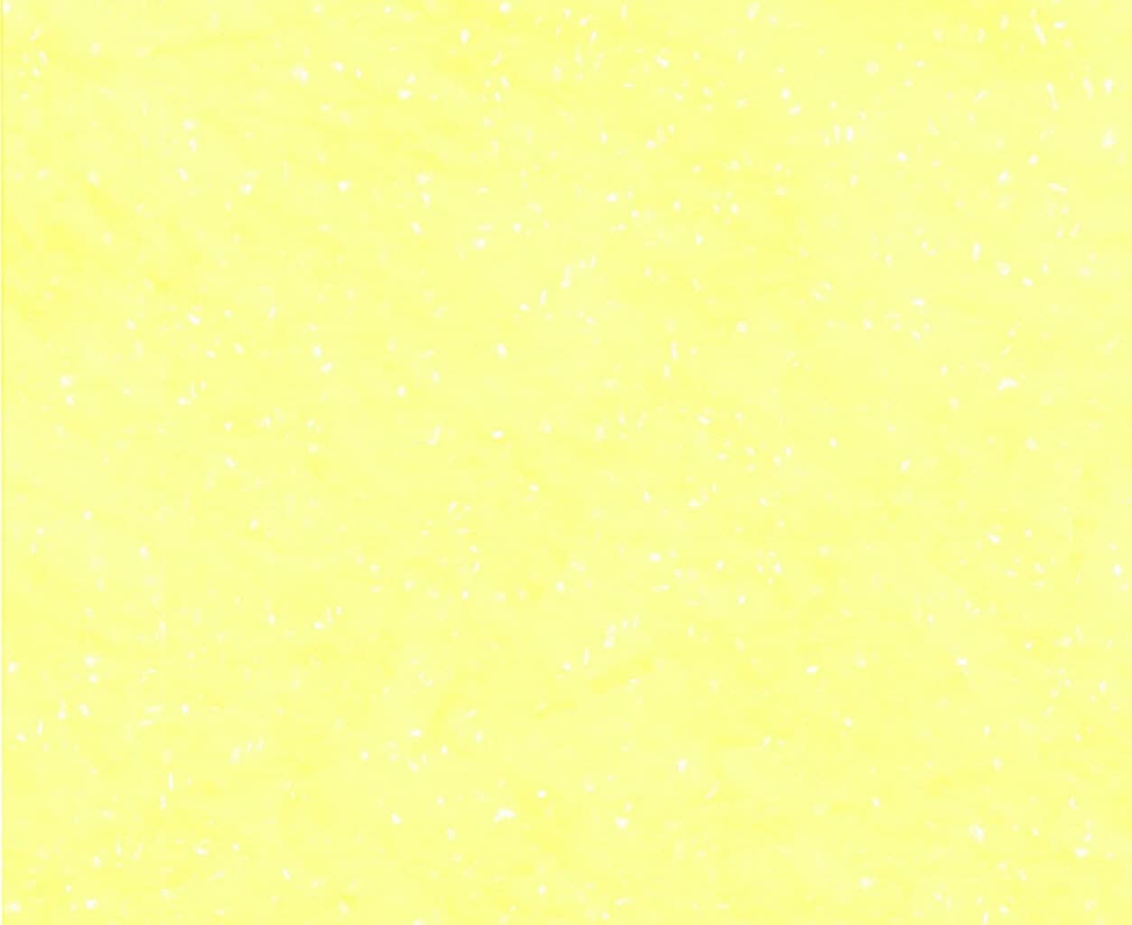 햇볕 토스트