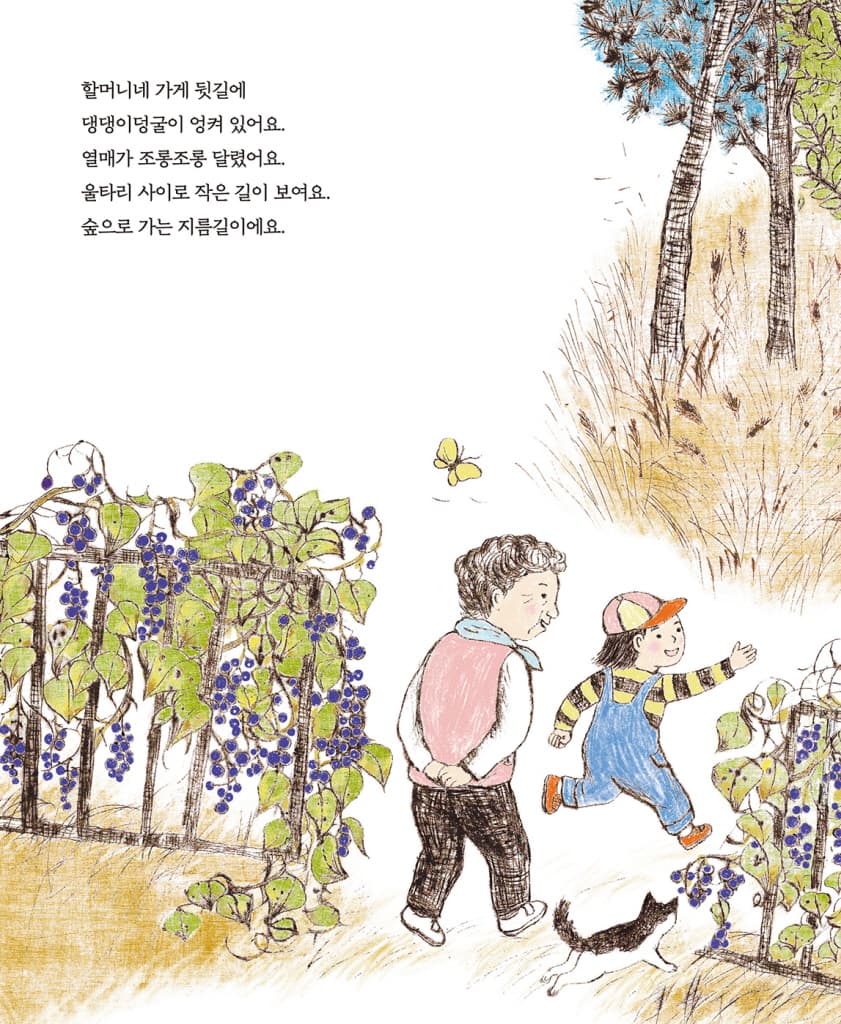 가을 열매 산책