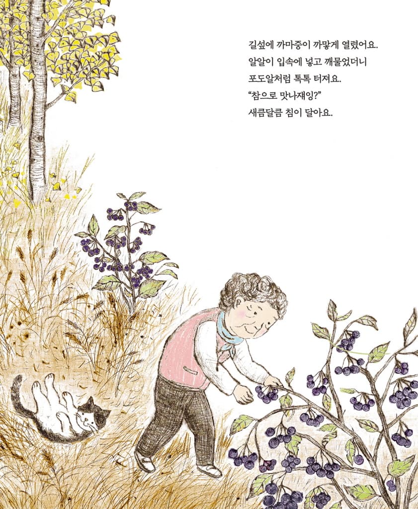가을 열매 산책