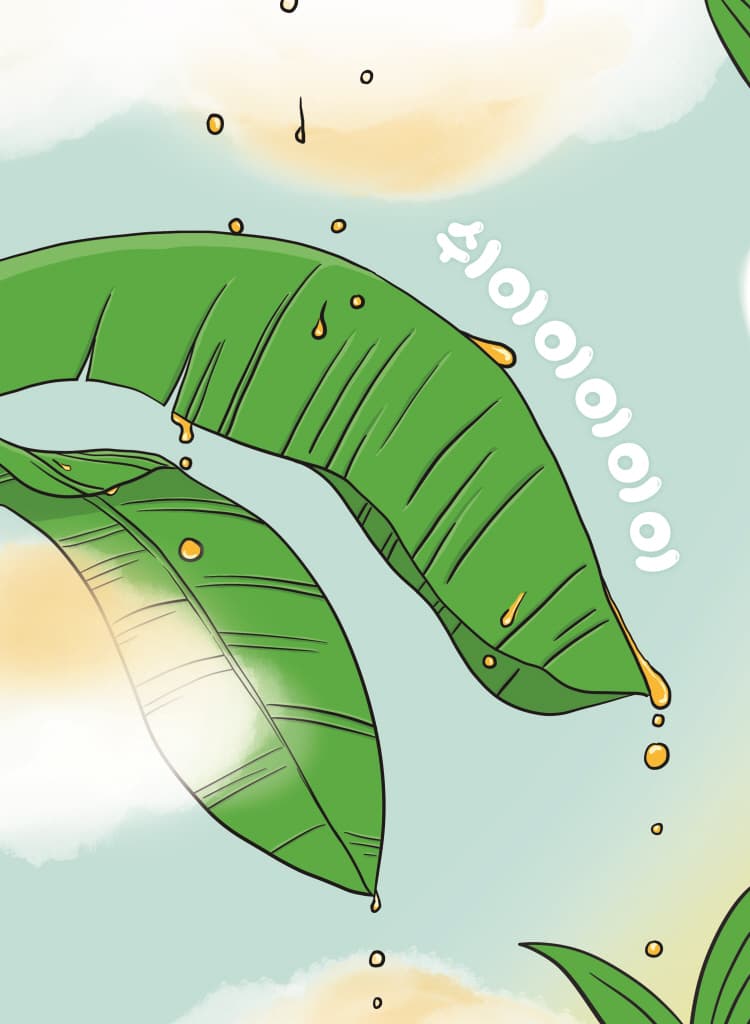 엉덩이야, 오늘은 뭐 입을까?