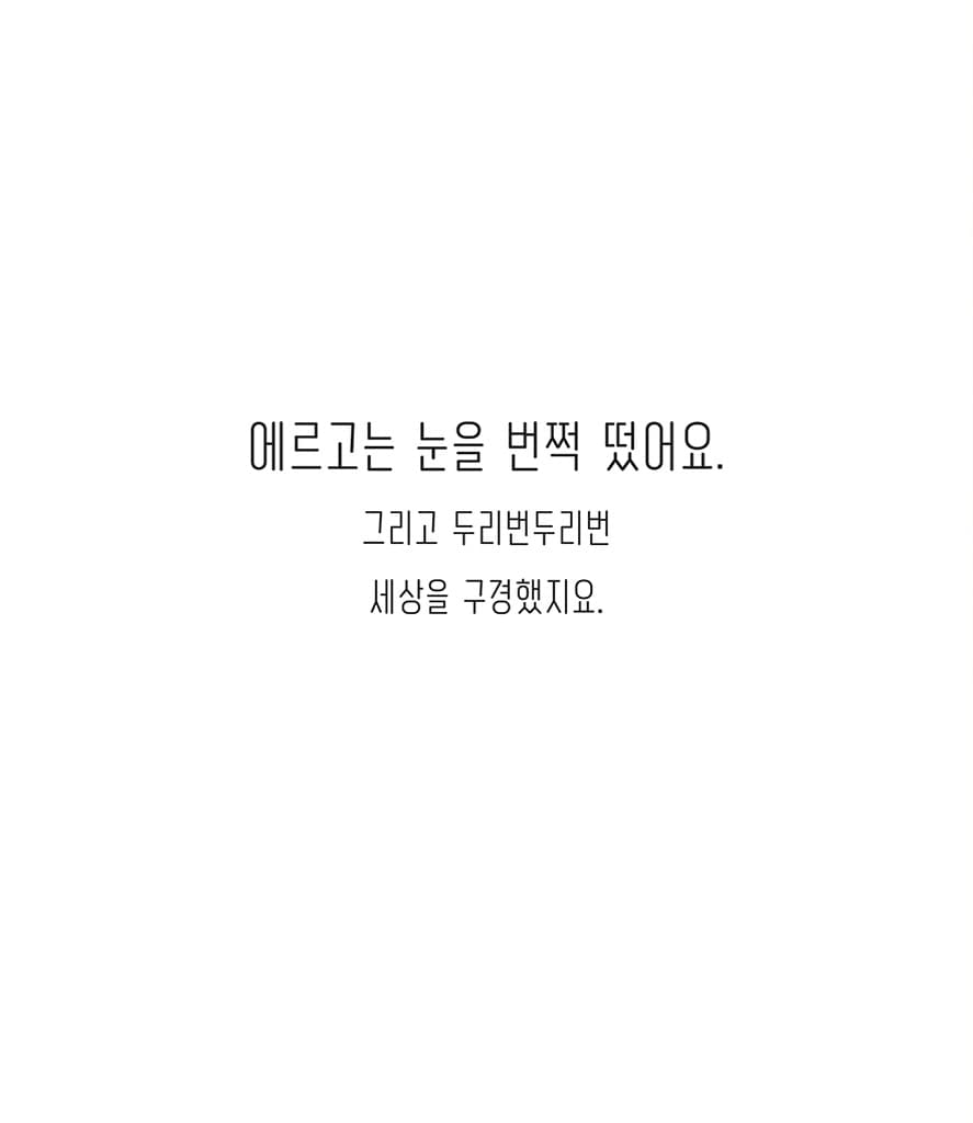 에르고