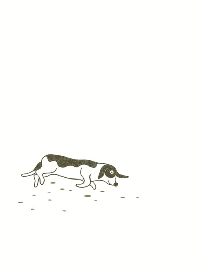 여름밤에