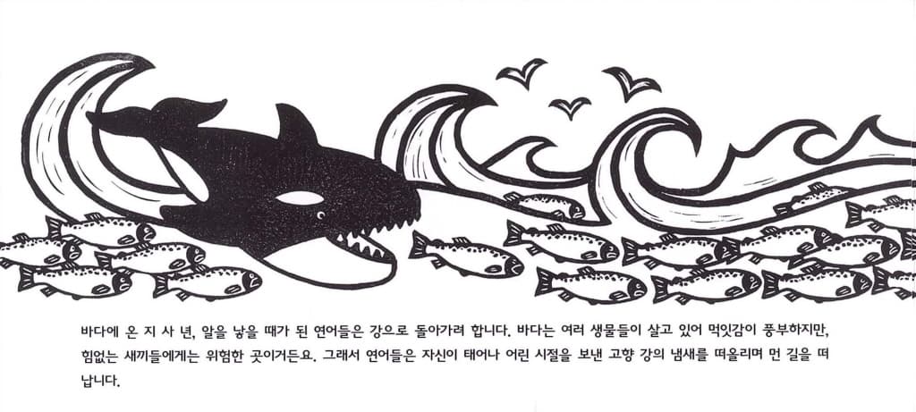 연어