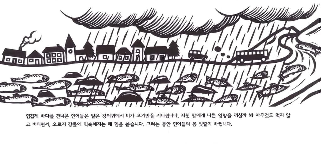 연어