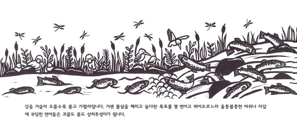 연어