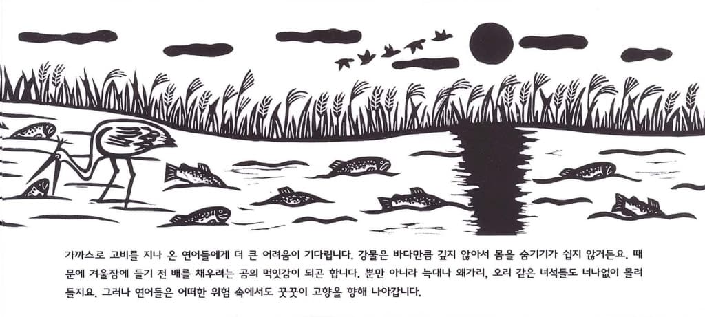 연어