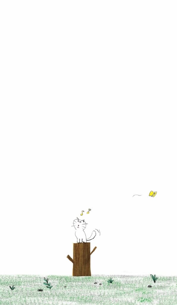 더 높은 곳의 고양이