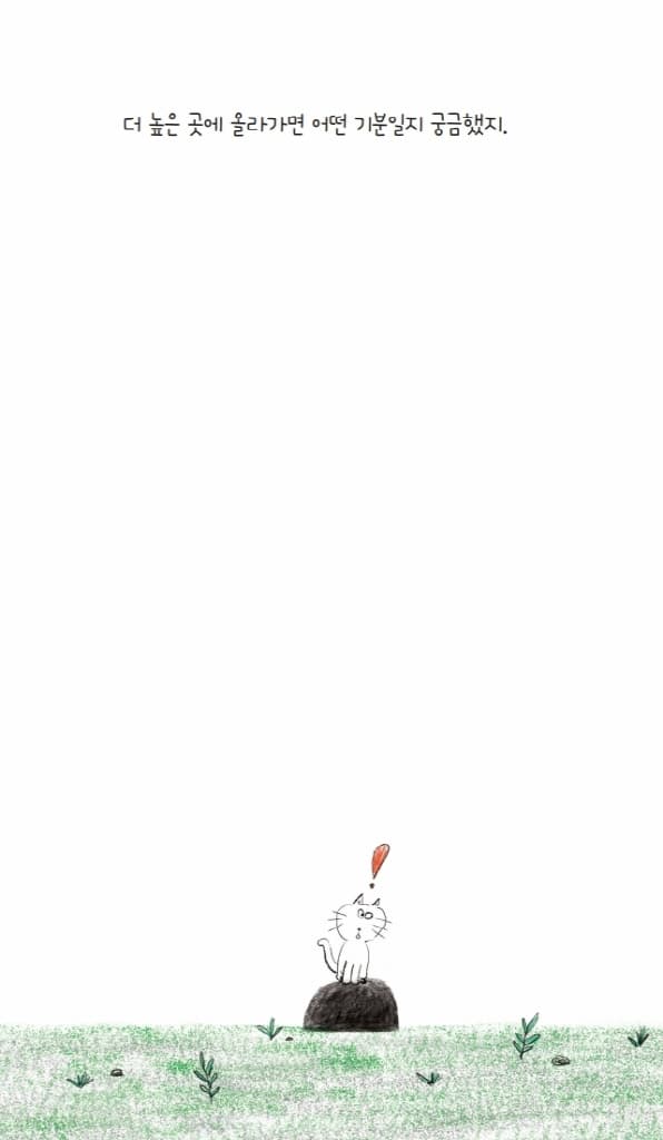 더 높은 곳의 고양이